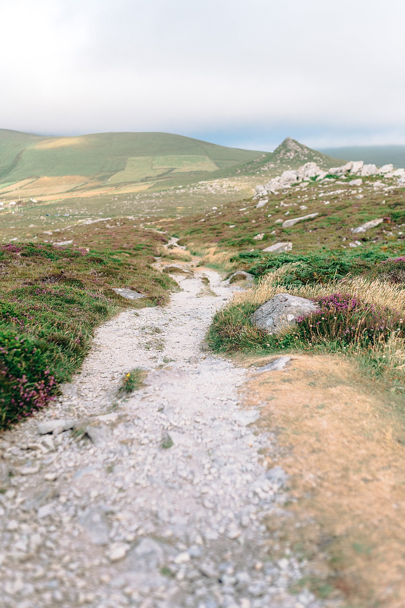 LEGACY: THE IRISH COAST COFFEE TABLE BOOK