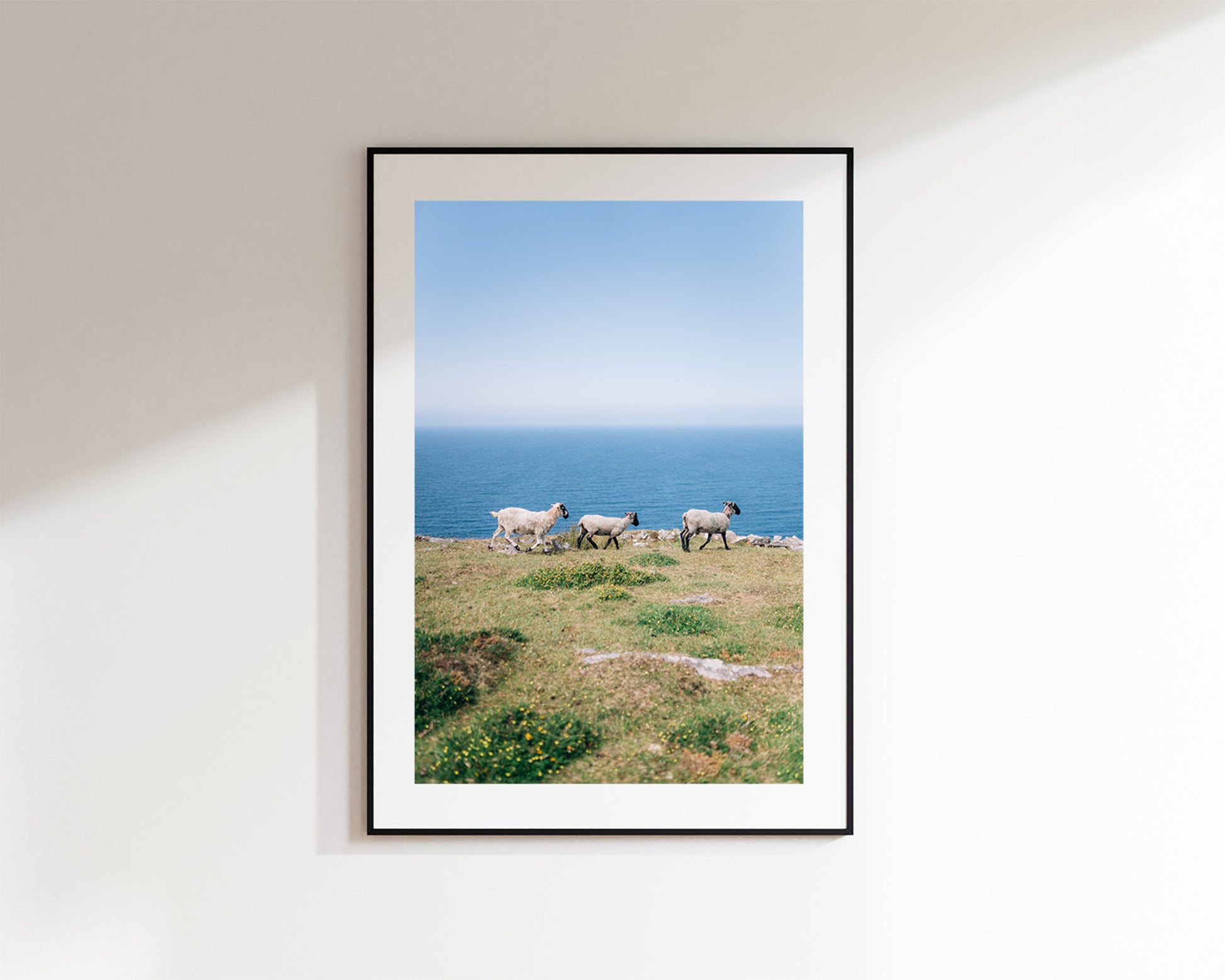 A framed vertical art print depicting three sheep on a grassy cliffside at Brandon Point overlooking a blue ocean under a clear sky, mounted on a white wall.