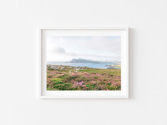 A framed landscape photograph of a coastal field with pink heather, distant cliffs at Ceann SIbeal, and a cloudy sky, displayed on a clean white wall.