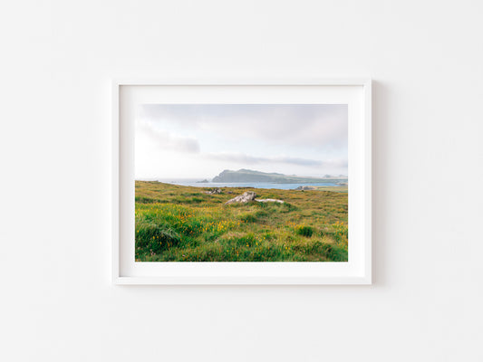 A framed landscape photograph of a grassy field with distant hills and water under a cloudy sky, presented in a white frame on a white wall.